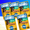 5 Sachês Pedigree para Cães 70g  — Escolha o Sabor Pedigree