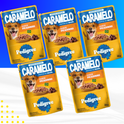 5 Sachês Pedigree para Cães 70g  — Escolha o Sabor Pedigree