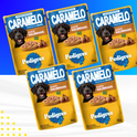 5 Sachês Pedigree para Cães 70g  — Escolha o Sabor Pedigree