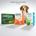Combo Pele & Pelagem para cães de 5 a 10 kg: Refos Derme + Queranon 15 kg + Ograx Derme 10
