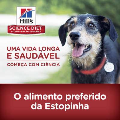 Ração Hills Science Diet Adulto Manutenção Saudável Pedaços Pequenos - 6Kg - shopcao